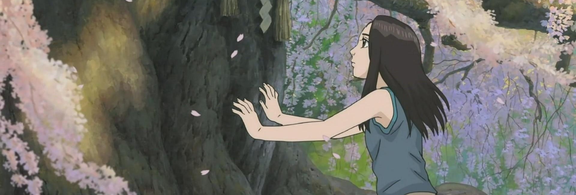 Miyori no Mori (Miyori e a Floresta Mágica) - Dublado - Episódios - Saikô  Animes